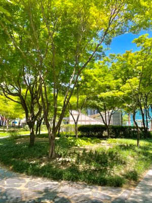 훈련원공원 전경