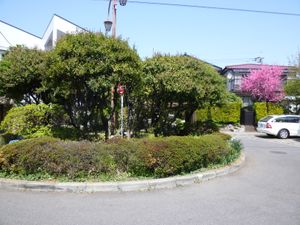 도키와다이 1초메의 쿨 드 삭