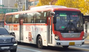 가평농어촌버스 8005번