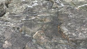 수주팔봉 칼바위의 문주리층