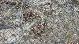 E}} 127° 23′ 31.6″