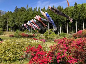 카마사카 고개 츠츠지원