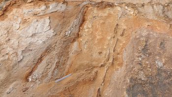 사진 속 30 cm 자가 있는 곳이 단층이다.