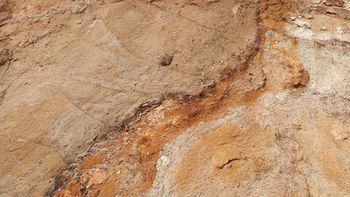 휘어 있는 지층