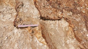 단층 (자의 길이는 30 cm)