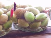 비자나무 열매의 보드카 절임