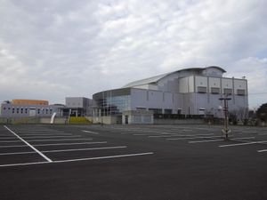 다네가시마 코리~나