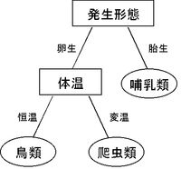 ID3 결정 트리 예시