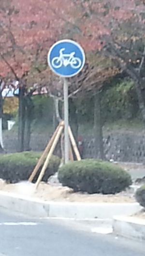대한민국의 자전거도로 표지