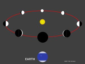 금성의 위상 변화