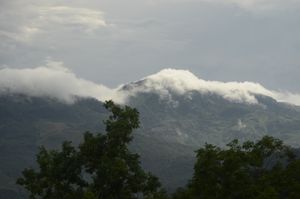 팡티 마을과 도양 댐 지역 주변 숲