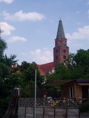 브란덴부르크 대성당