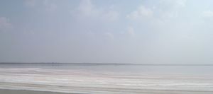 얕고 넓게 펼쳐진 시바시