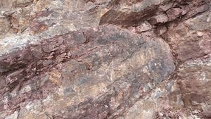 영양군 수비면 계리, 한티재 국도 제88호선 도로변에 드러난 가송동층의 노두