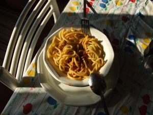 비골리 인 살사