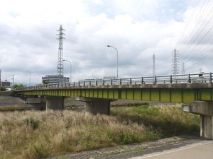 물닭 다리(2009년 6월)