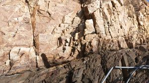 평안 누층군의 조립질사암