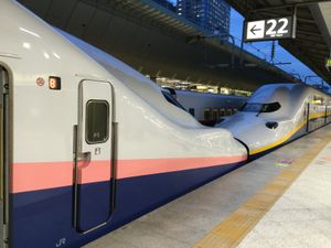 구도색과 신도색의 병결 (2014년 도쿄역)