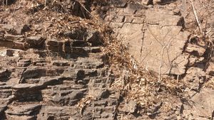 학봉 현무암 노두