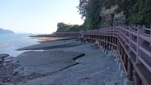 나무데크길 밑에 드러난 진동층