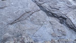 진동층의 건열 구조