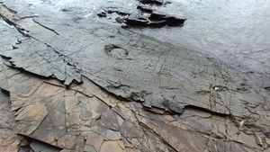 남해 가인리 화석산지의 함안층