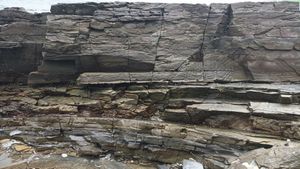 남해 가인리 화석산지의 함안층