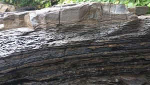 남해 가인리 화석산지의 함안층