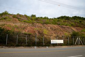 안동시 임동면 망천리 경동로 2484 지점, 국도 제34호선 도로변에 드러난 동화치층 알코스질사암층