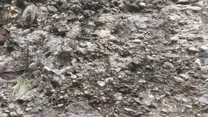 봉화군 명호면 고계리 고치현 도로 북측 사면