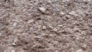 봉화군 명호면 고계리 고치현 도로 남측 사면