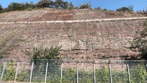 청송군 진보면 추현리 국도 제34호선 도로변 동화치층 노두