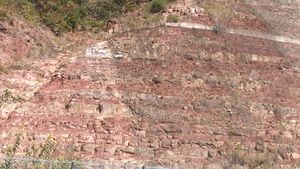 청송군 진보면 추현리 국도 제34호선 도로변 동화치층 노두