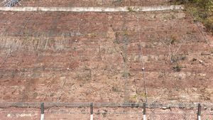 청송군 진보면 추현리 국도 제34호선 도로변 동화치층 노두