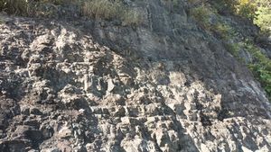 안동시 예안면 인계리 지방도 제933호선 도로변의 청량산층 노두