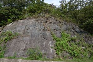 안동시 예안면 인계리 지방도 제933호선 도로변의 청량산층 노두