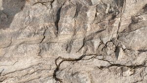 석회규산염암의 엽리