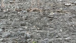 의령군 봉수면 삼가리 산 71-2 국지도 제60호선 도로변 노두