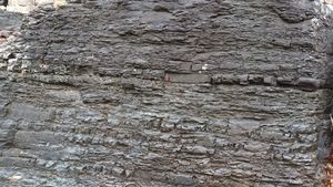 정암루 아래 남강 강변에 드러난 함안층의 노두