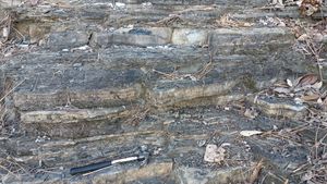 가천역 남쪽 천을로 23길 근처의 노두, 대구광역시 수성구 가천동