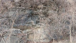 가천역 서쪽 천을로 23길 근처의 노두, 대구광역시 수성구 고산3동 (가천동)