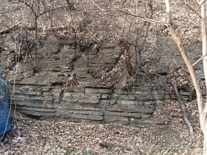 매호천 하천변 도로 사면의 노두, 대구광역시 수성구 매호동 산 20