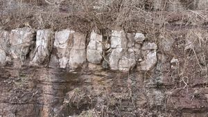 입암면 신사리 지방도 제911호선 도로변