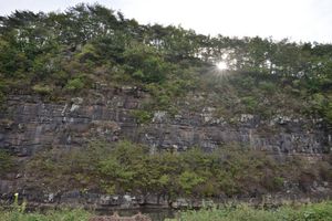 청기면 토구리 산 8-4, 학암교 남쪽 동천 하천변 노두