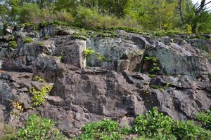 청기면 당리 산 87-1 지방도 제918호선 도로변