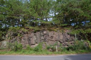 청기면 당리 570-1 지방도 제918호선 도로변