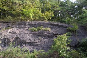 일월면 도곡리 산 281-25 지방도 제918호선 도로변