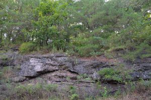 일월면 도곡리 산 281-11 지방도 제918호선 도로변