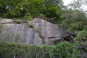 일월면 가곡리 산 114-1 지방도 제918호선 도로변