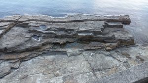 고성군 하일면 용태리 산 335-5에 드러난 진동층